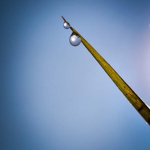 Photo #12573225
