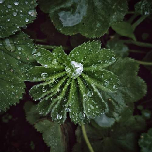 Photo #12573235