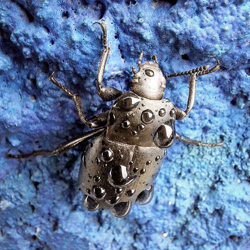 Photo #12573261