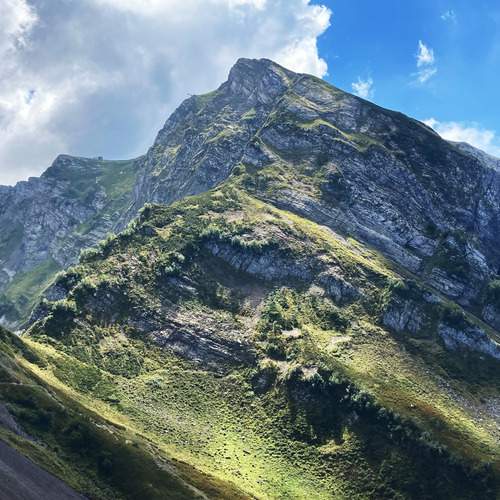 Фотография #12573286