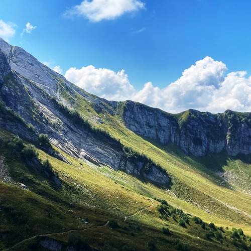 Фотография #12573322