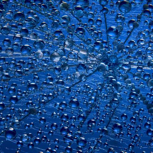 Photo #12573621