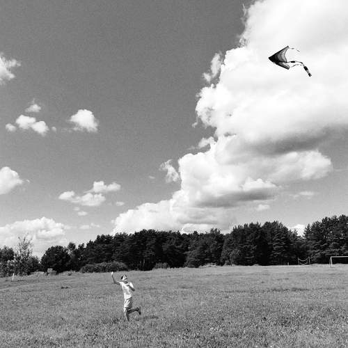 Photo #12573895