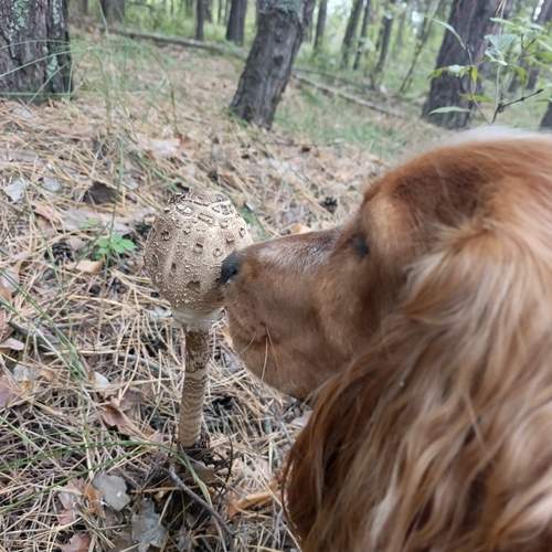 Photo #12574122
