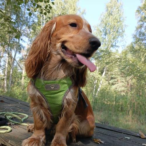 Photo #12574123