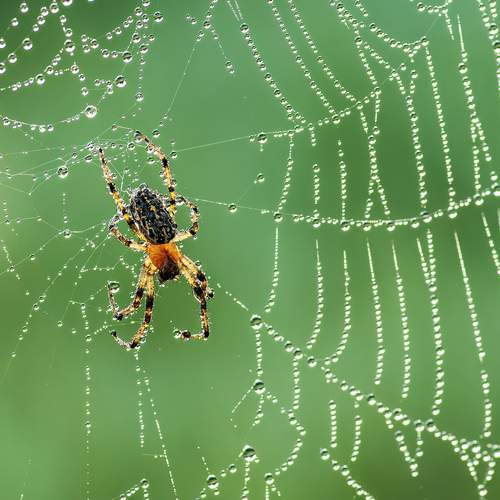 Photo #12574330