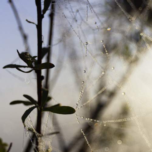 Photo #12574348