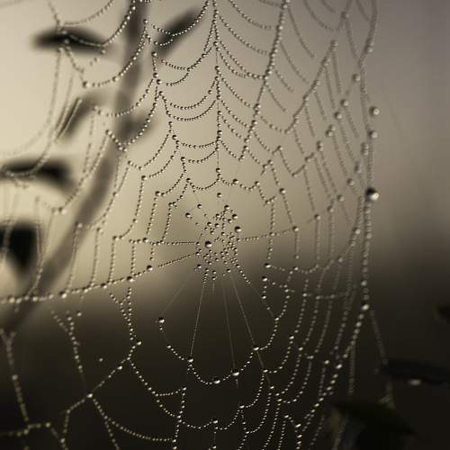 Photo #12574386