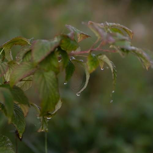 Photo #12574519