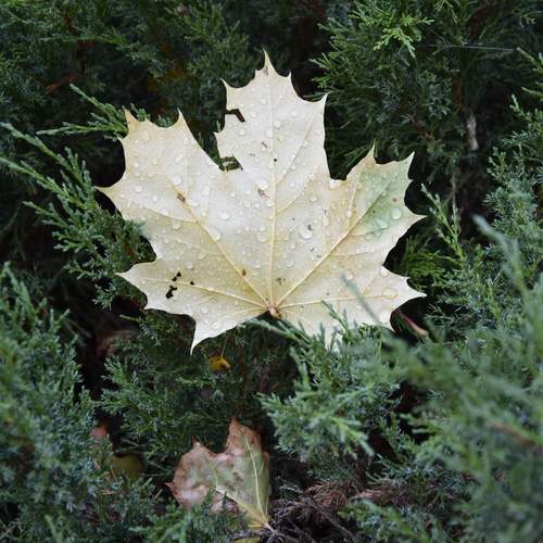Photo #12574613
