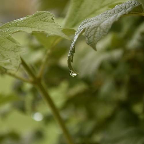Photo #12574614