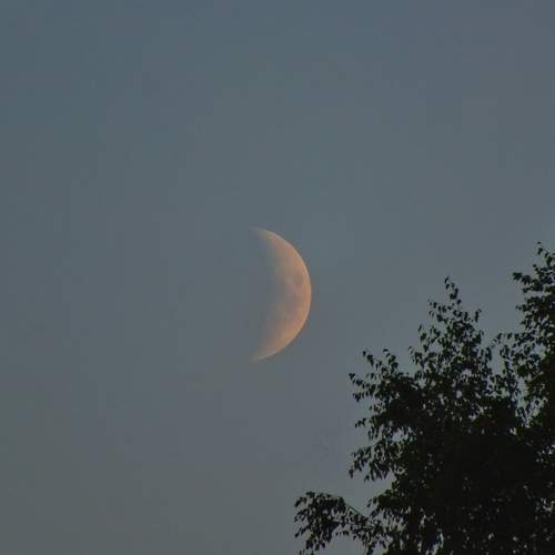 Photo #12574848