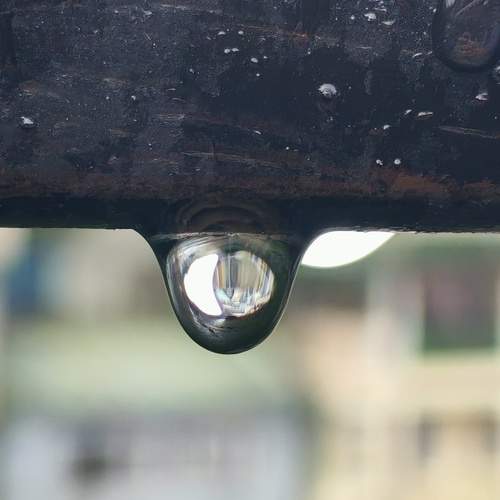 Photo #12574862