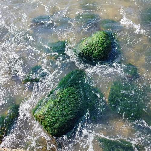 Photo #12575024