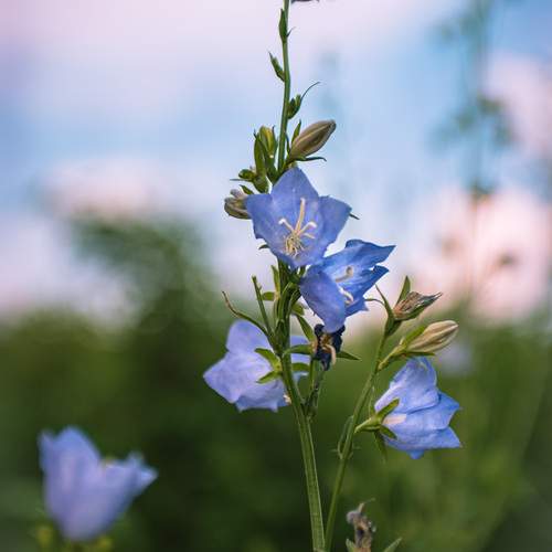 Photo #12575177