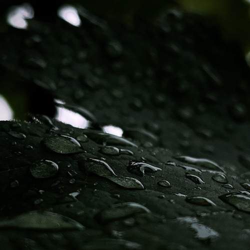 Photo #12575505