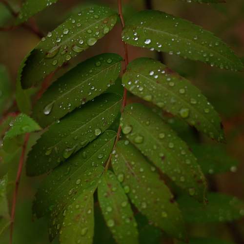 Photo #12575559