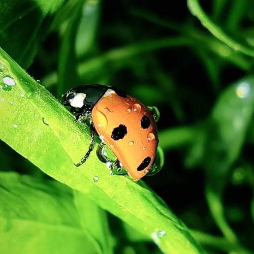 Photo #12575568