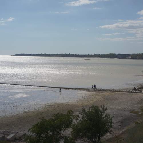 Photo #12575790