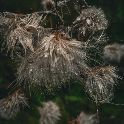 Photo #12575799