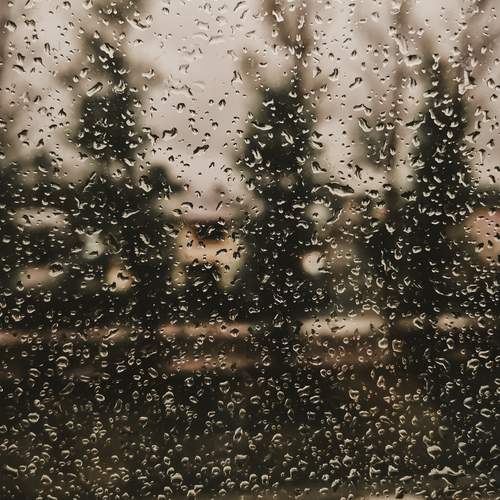 Photo #12575800