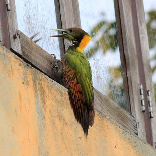 Photo #12575924
