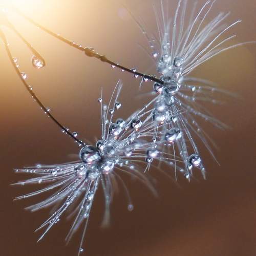 Photo #12575967