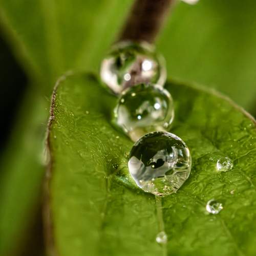 Photo #12575996
