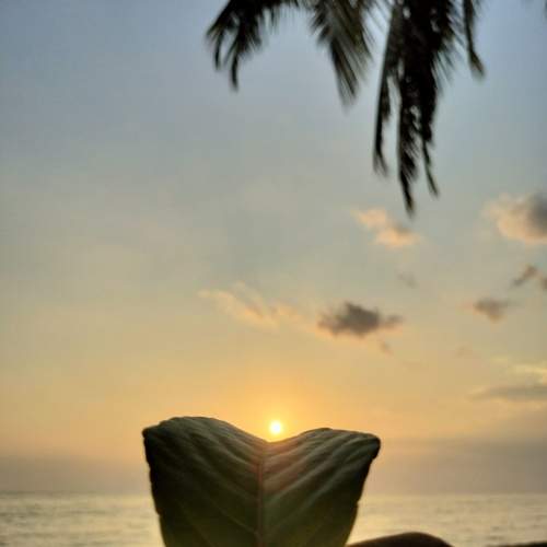 Photo #12576034