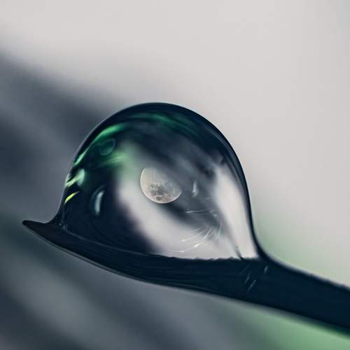 Photo #12576055