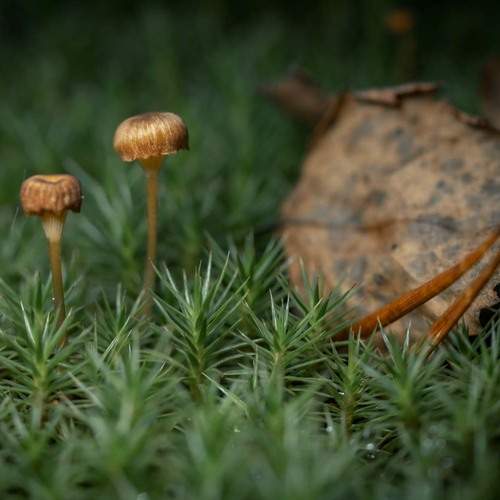 Photo #12576436