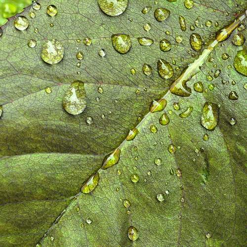 Photo #12577283