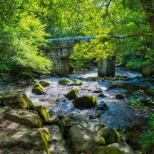 Shaugh Bridge