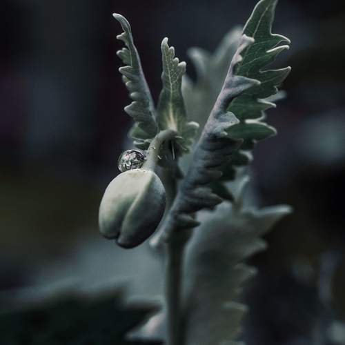 Photo #12577439