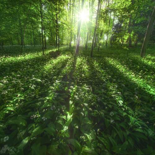 Фотография #12577711