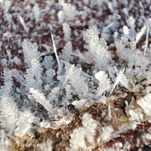 Photo #12578163