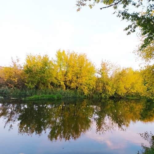 Photo #12578166