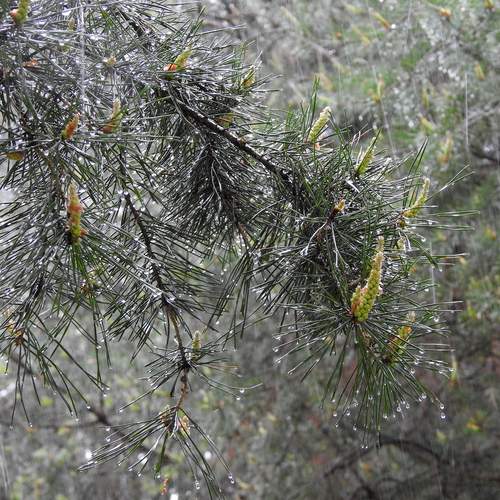 Photo #12578323