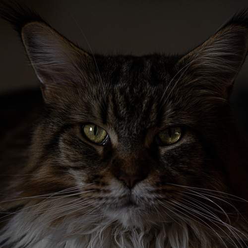 Photo #12578377