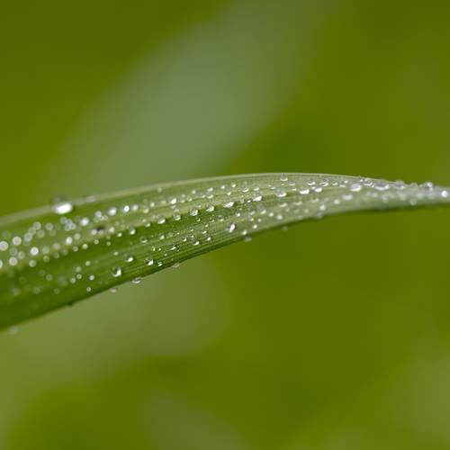 Photo #12578650