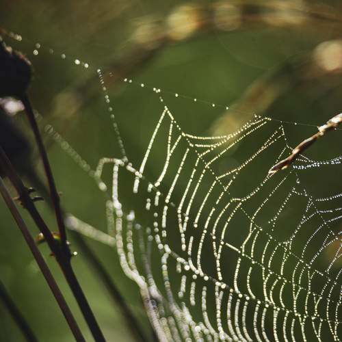 Photo #12578653