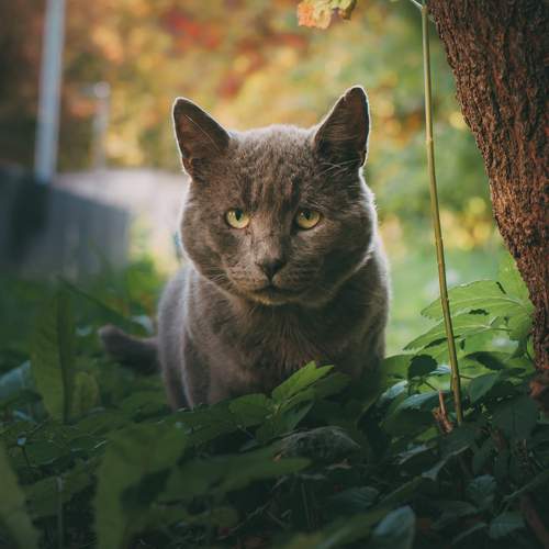 Photo #12578776