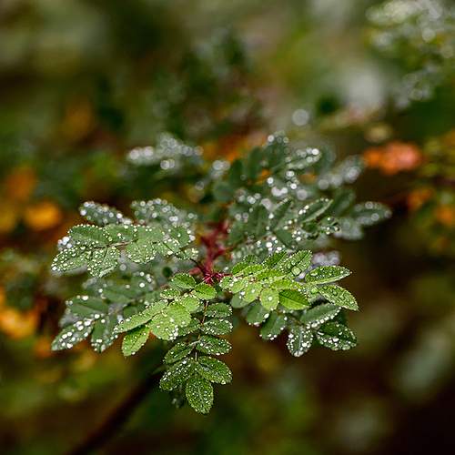 Photo #12578827
