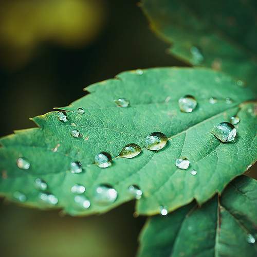 Photo #12578829