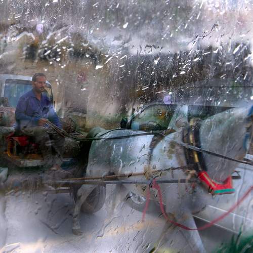 Photo #12579163