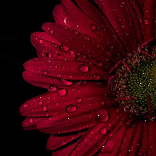 Photo #12579405