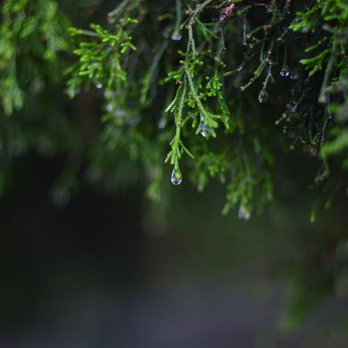 Photo #12579658