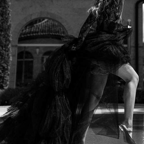 Photo #12579812