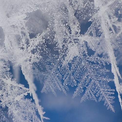 Photo #12579836