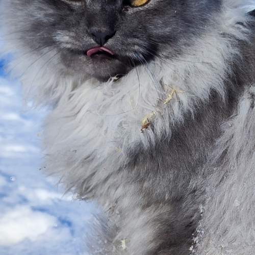 Photo #12579837